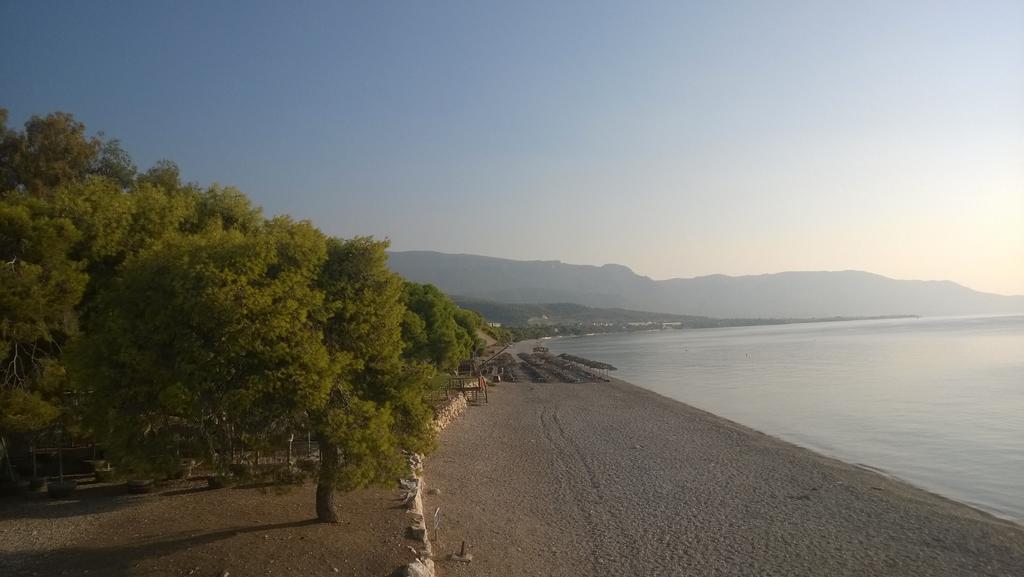 Siagas Beach Hotel Agioi Theodoroi Zewnętrze zdjęcie