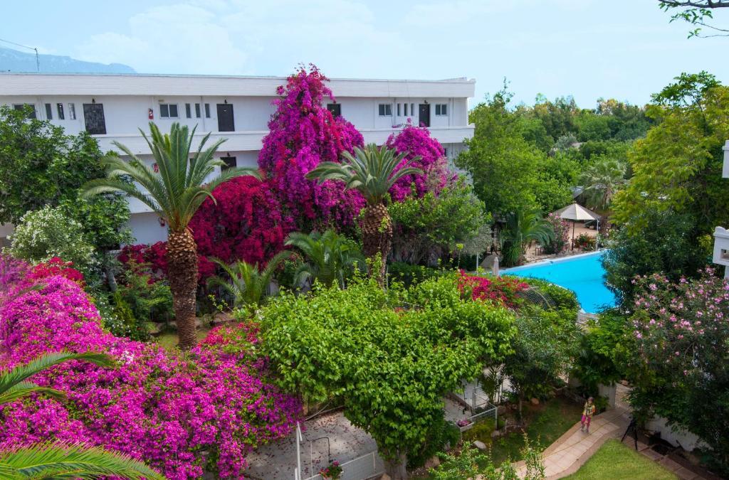 Siagas Beach Hotel Agioi Theodoroi Zewnętrze zdjęcie