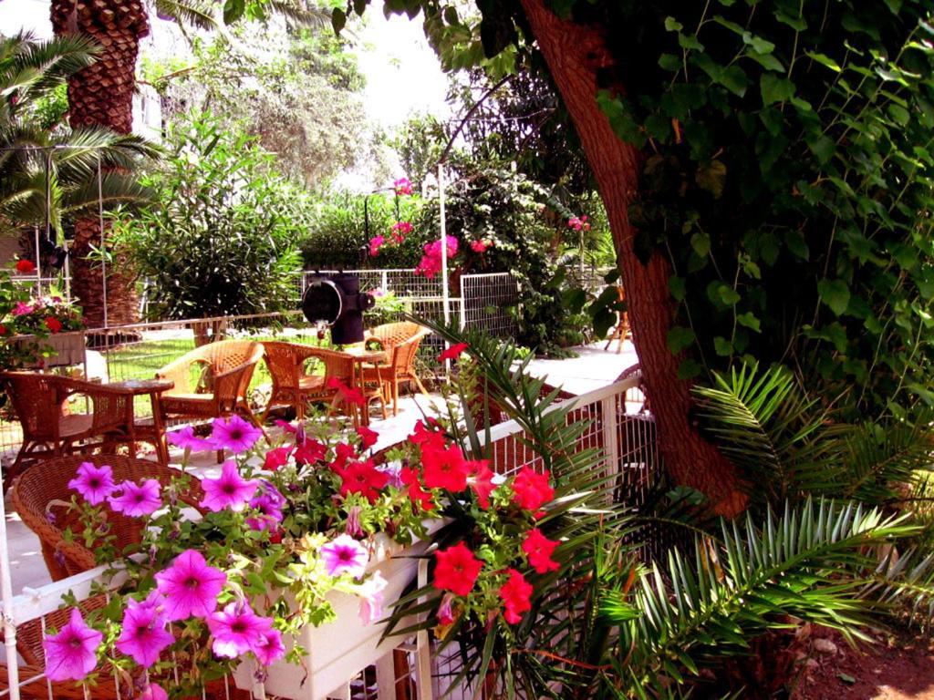 Siagas Beach Hotel Agioi Theodoroi Zewnętrze zdjęcie