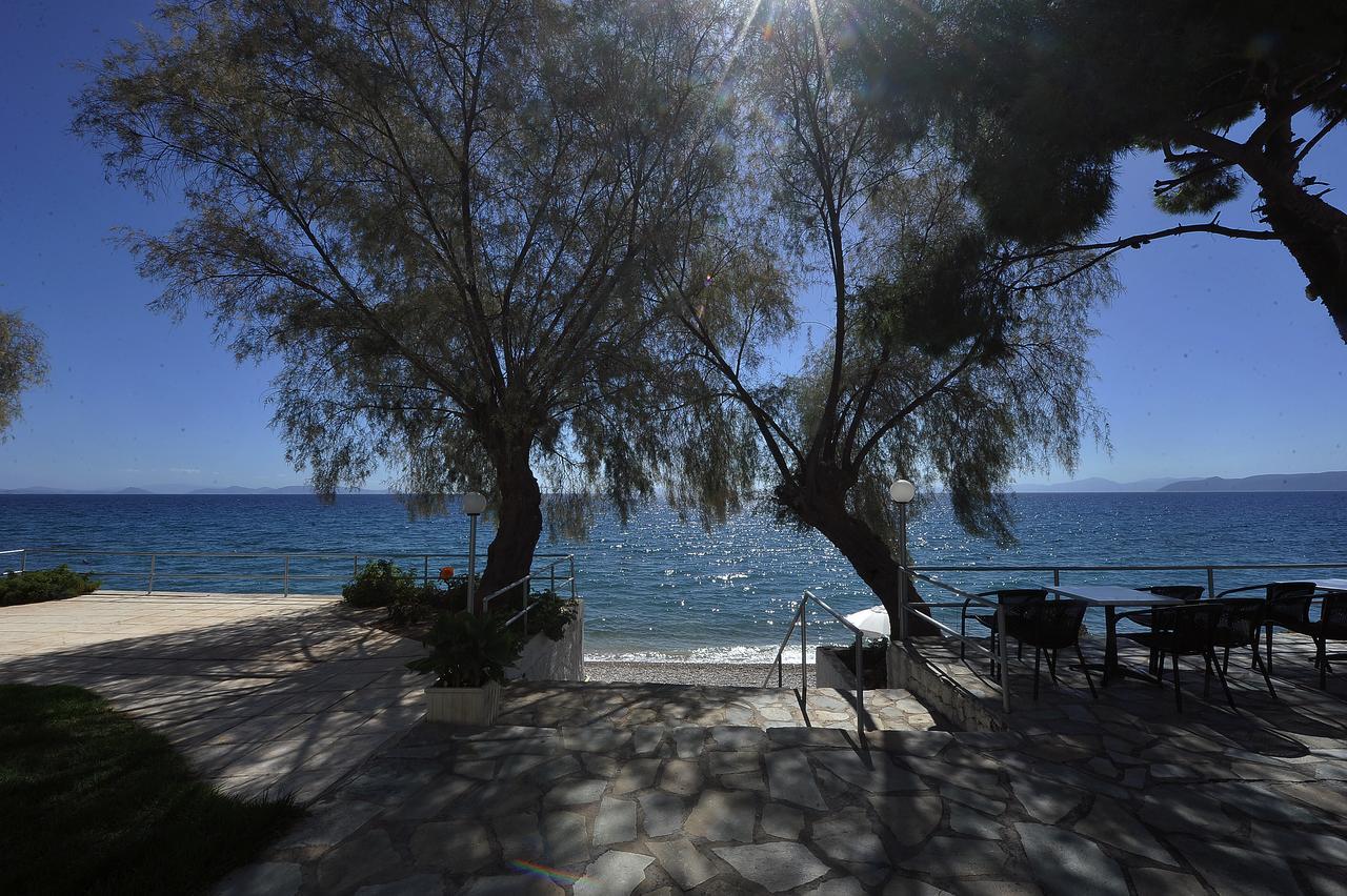 Siagas Beach Hotel Agioi Theodoroi Zewnętrze zdjęcie